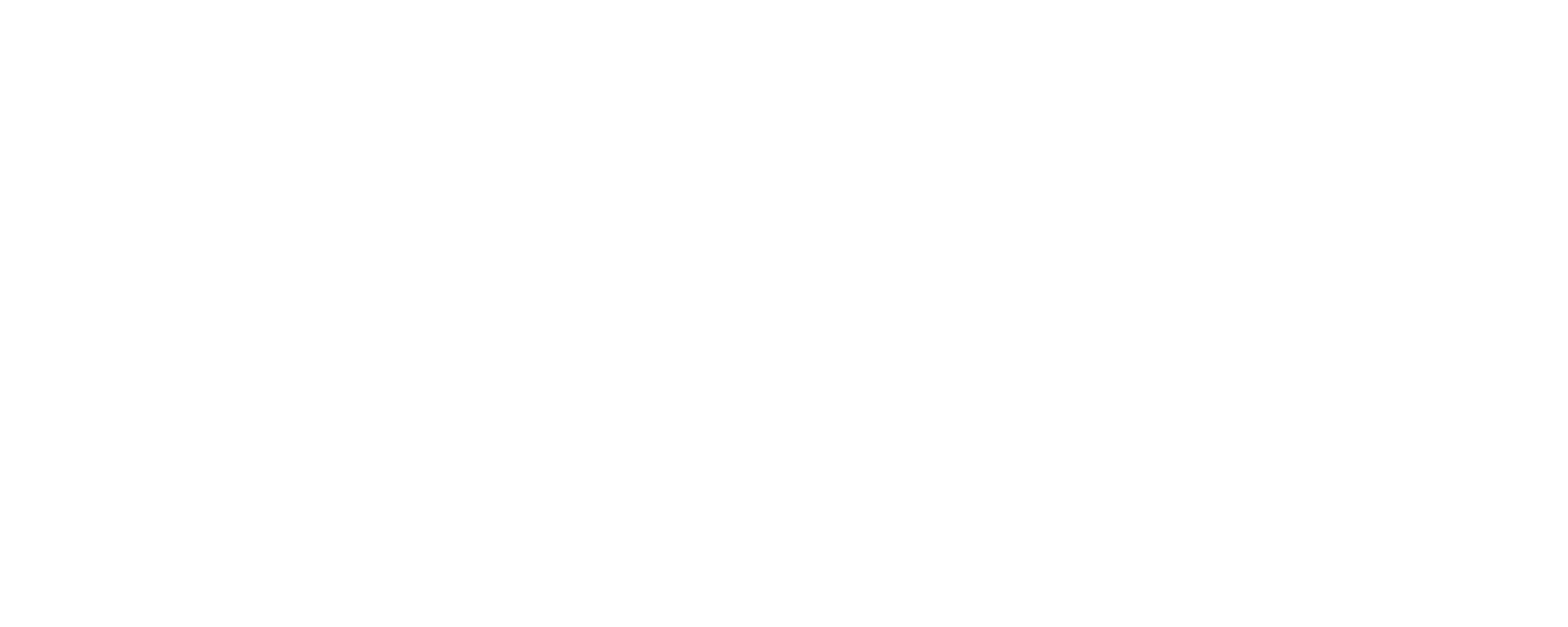 Meshara Cleanout